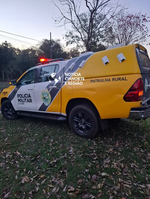 Homem é detido após atirar com arma de pressão contra cão em chácara de Cianorte